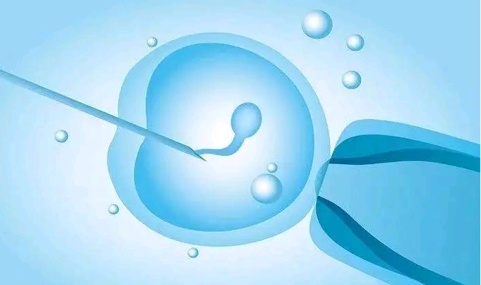 上海做试管助孕需要多少费用？,上海试管助孕成功率趋势?