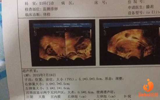 涪陵女子靠代孕挣钱,想在体内植入两个胚胎，上海中山医院可以做试管吗？成