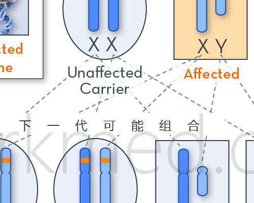 武汉试管代怀成功,济宁供卵三代多少钱（武汉哪家医院做试管成功率高）
