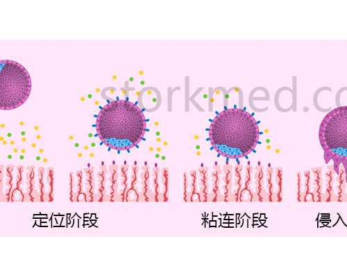 育儿教育书籍_育儿书籍,备孕指南|带你了解HCG：HCG值的高与低（四）