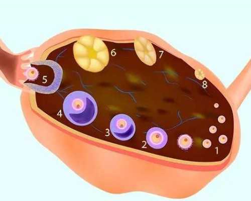 武汉苏杭代孕网,武汉正规供卵试管医院,武汉正规供卵机构