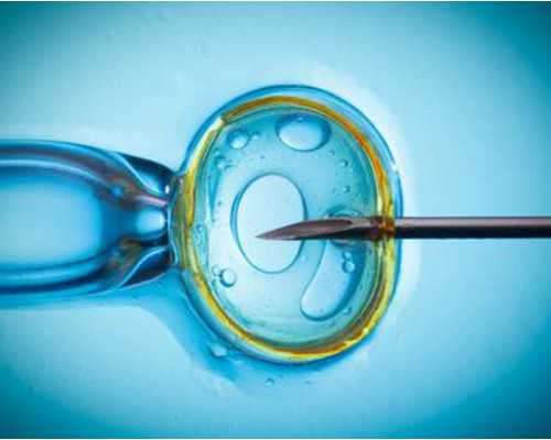 2026
代孕套餐_三代试管供卵,试管婴儿取卵后第二天可以上班吗-月经第十二天去