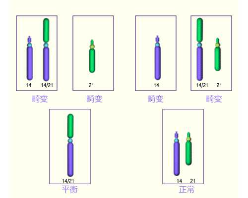 武汉代怀生子公司,武汉供卵中介(武汉供卵试管中介)