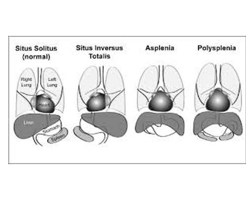 2万找私人代妈_47岁试管供卵,生长激素能改善试管婴儿成功率吗_医院网上预约没