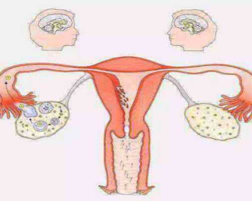 湖北武汉供卵医院,武汉供卵试管包生男孩费用_代孕网公司多吗