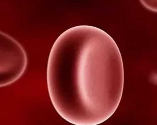 30万找私人孕妈_三代试管利弊,北京三代试管大概多少钱_上海供卵试管公司有哪