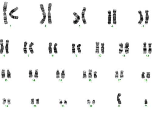 武汉代怀孕网地址,武汉助孕机构供卵试管宝宝健康吗？