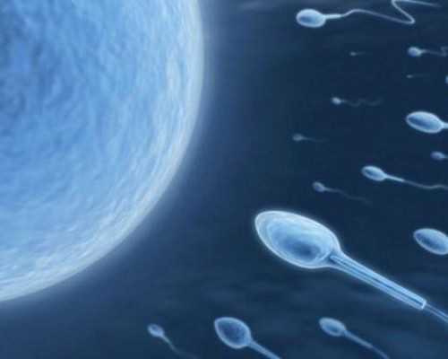 备孕需要检查什么_怀孕产检安排时间表,孕期嘴苦无味怎么办