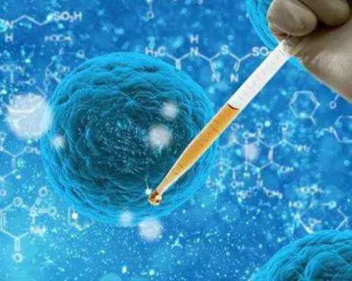 “科学膳食搭配，助您备孕更高效，为美好未来打下坚实基础”的孕前饮食计划