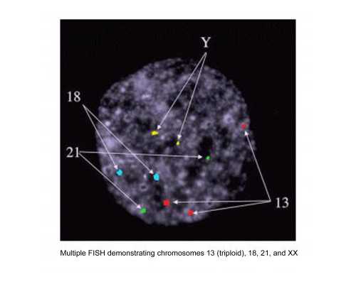 备孕三个月计划表_育儿嫂中介公司投诉,备孕必须要做哪些检查-这三大检查不可