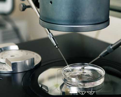 世纪供卵试管_三代试管地址,治疗不孕不育的医院，患者推荐南方医院-上海私立