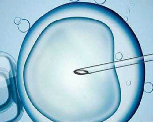 武汉代怀联系,武汉试管费用(武汉做试管费用需要多少)