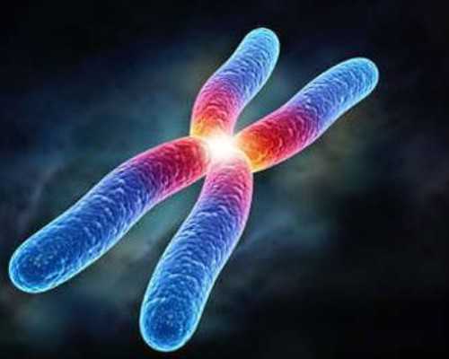 2026武汉供卵试管医院,武汉供卵试管费用多少钱_代孕公司有哪些