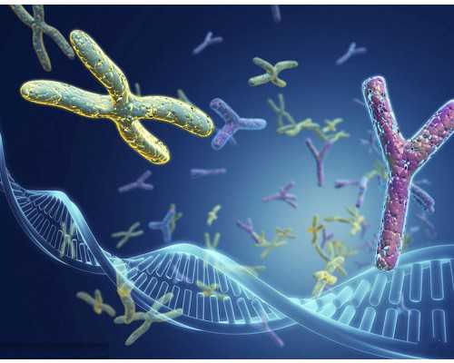 三代试管选男女_69助孕公司,子宫形态异常对做试管婴儿有没有影响？_上海供卵