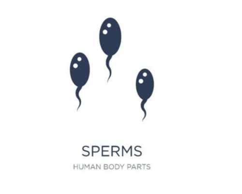 武汉助孕能得多少钱,武汉供卵助孕的价格