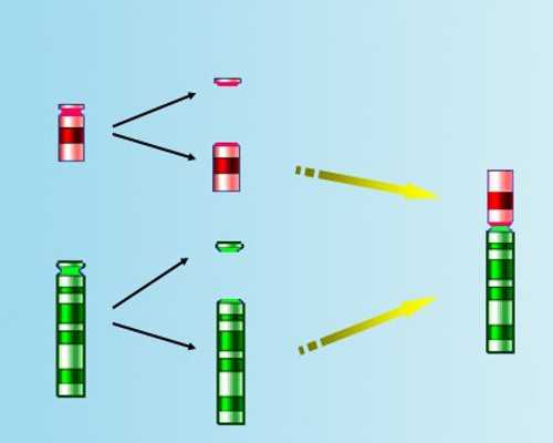 做一次试管婴儿大概要花多少钱?