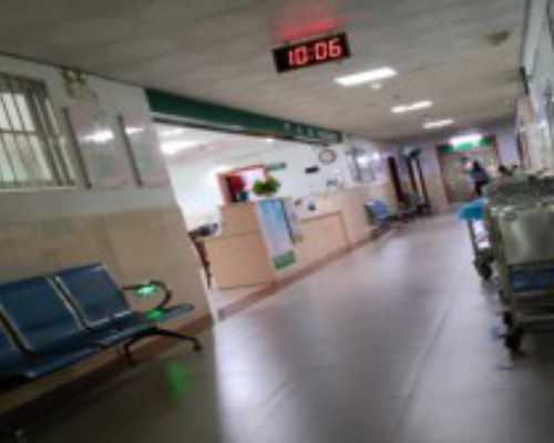 武汉单身借卵,武汉试管婴儿费用(在武汉试管费用是多少)