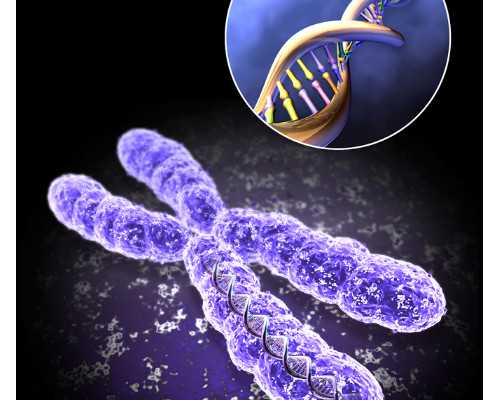 武汉靠谱代生流程,武汉供卵是第几代试管,武汉供卵三代试管