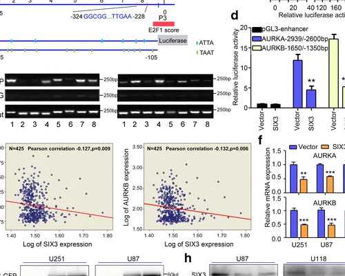 aa69助孕价格_三代试管男孩,北京有正规的供卵试管机构吗？-上海供卵试管公司