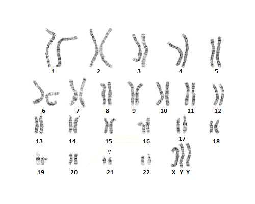 武汉超高龄供卵试管成功率参考,武汉供卵多少钱_代怀最新政策
