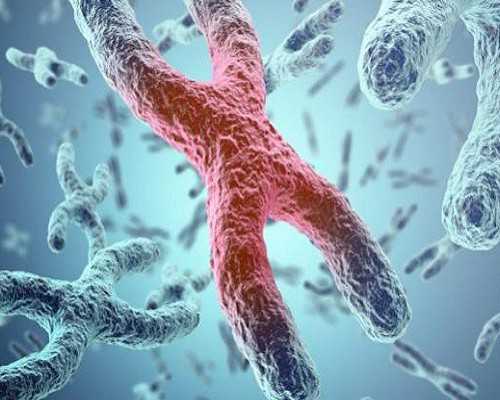 武汉代生在哪里,武汉供卵生殖中心,武汉供卵试管中心