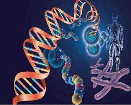 育儿师干什么的_怎样备孕二胎,2026娄底试管婴儿医院排名，试管助孕仅一家可选