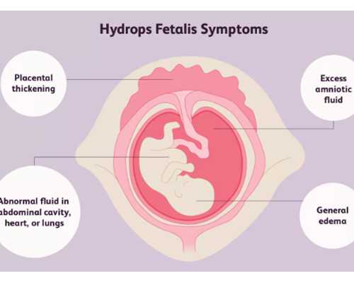 2026合法代孕_365助孕网,，专业技术选北京供卵试管机构排名前十名-上海供卵试
