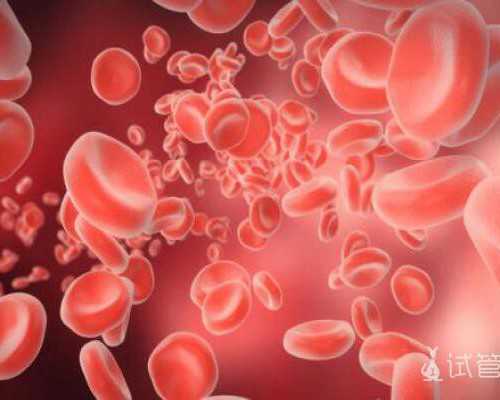 武汉借卵哪家靠谱,武汉试管婴儿价格,武汉试管婴儿收费标准