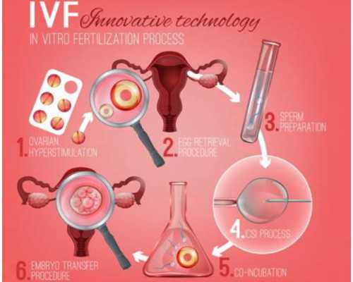 武汉找代孕医院,武汉试管医院排名武汉哪里做试管比较好