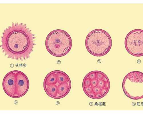 每个月备孕期_怀孕多久能打胎,男性不孕不育的原因和治疗方法