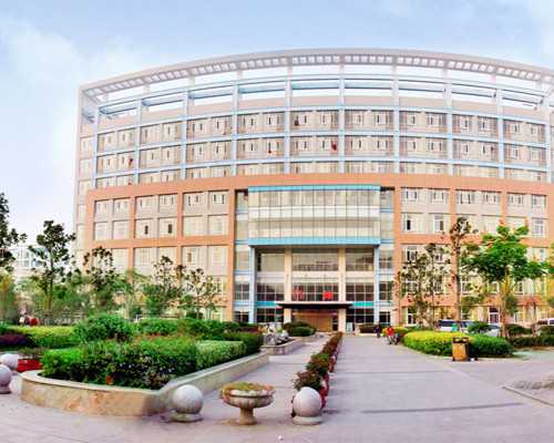 933胚胎代表什么意思？D3胚胎评分800是什么意思？,正规医院供卵