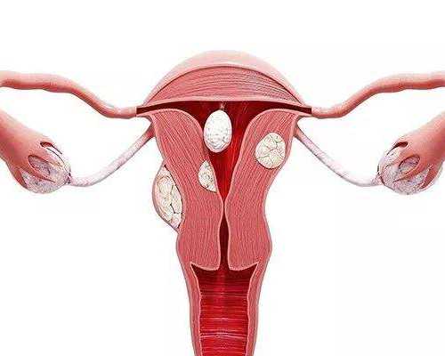 武汉代怀中介,武汉同济试管流程(武汉同济试管检查流程)