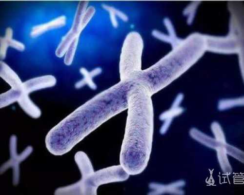 助力您迎接可爱女儿的到来！孕前饮食计划不可或缺！