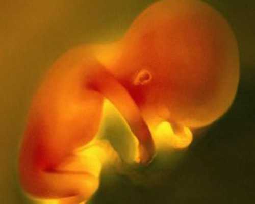 武汉代生双胞胎,武汉试管婴儿多少钱只来武汉黄浦