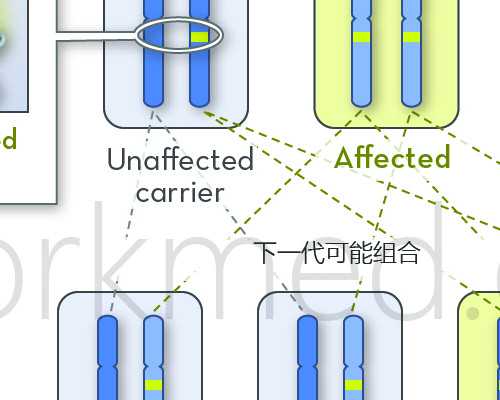 武汉靠谱代怀价格,武汉供卵三代生子,武汉供卵借腹生子