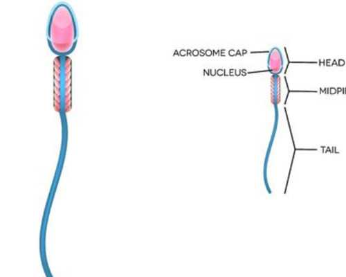 aa69和神州中泰_3代试管供卵,武汉试管婴儿什么时候纳入医保？去武汉做试管能