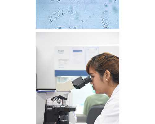 武汉代孕成功案例,武汉同济试管流程,武汉同济做试管要多久