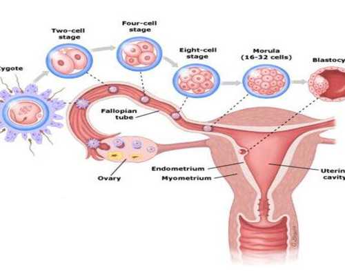 武汉试管代怀价格,武汉供卵是第几代试管,武汉供卵三代试管