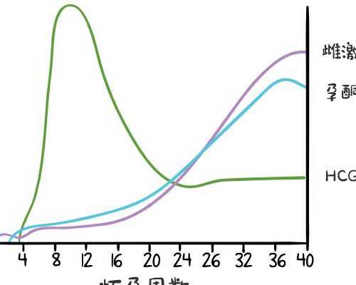 三代试管包性别_三代试管大概多少钱,天津三代试管包生儿子费用明细？附三代