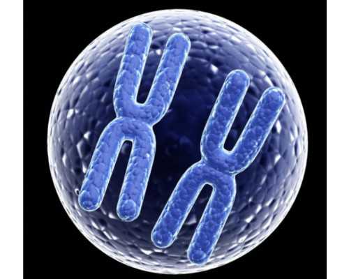 武汉寻供卵,武汉做试管婴儿大概多少钱，具体9255元