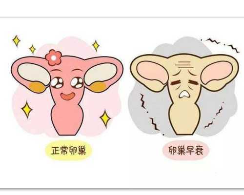 育儿知识经验分享_女性备孕前准备,男性不孕不育的原因盘点