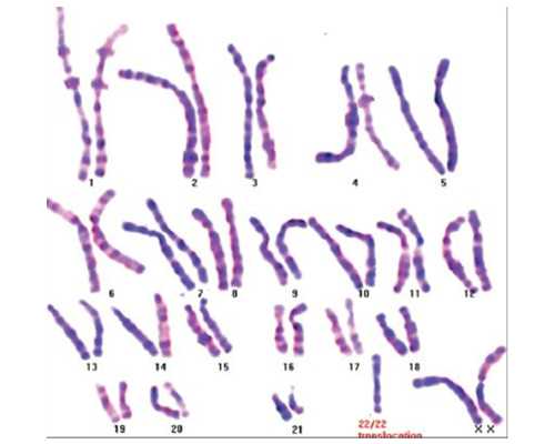 
              武汉哪家医院做试管成功率高？湖北省人民医院试管怎么样？
    