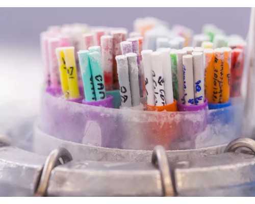 武汉哪家医院代孕,武汉同济医院-武汉试管婴儿收费标准