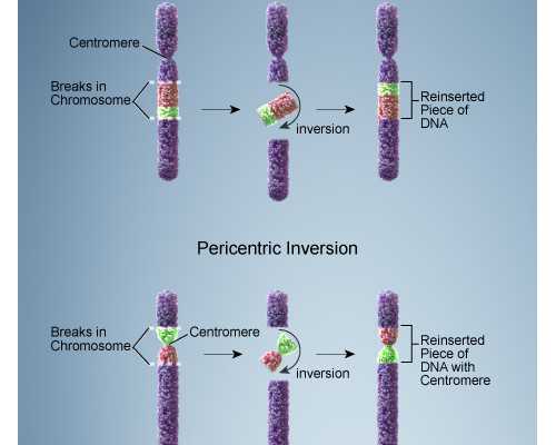武汉供卵有哪几家医院,武汉供卵试管助孕机构介绍_代生贵不贵