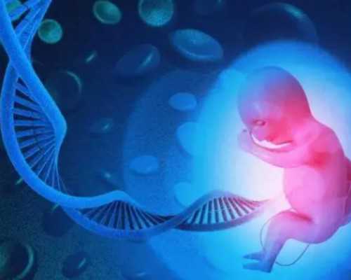 育儿心得陪伴_备孕当月就怀上,月经量少要月经期做检查吗