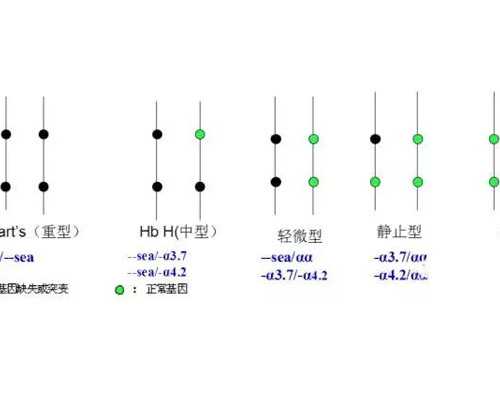 武汉供卵费用多少钱,武汉供卵试管婴儿医院推荐-专业正规代孕