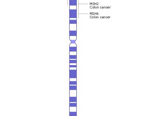武汉最近地下供卵现场,武汉三代供卵代孕婴儿具体流程有几步？