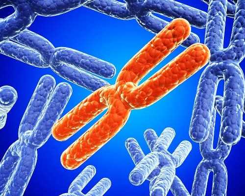 aa69吕进峰集团_48岁做供卵试管,张杰和谢娜怀孕前曾去美国做了什么？张杰首次