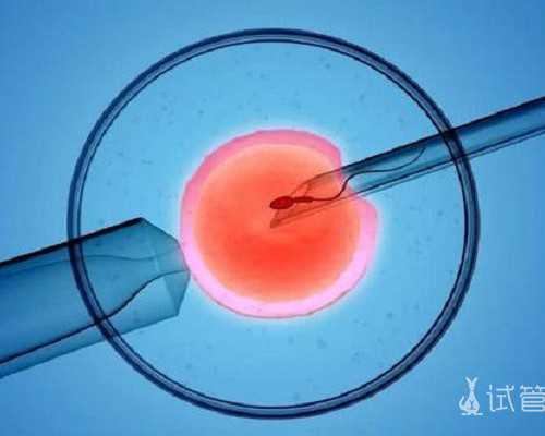 湖北最有名的三代试管医院真实成功率,武汉三代试管机构在哪里！