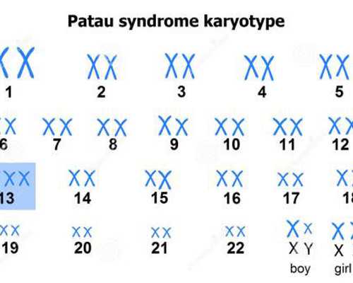 武汉正规供卵公司,武汉试管婴儿得多少钱，差不多87853元